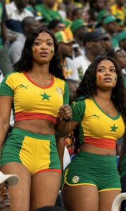 Senegal v Iraq betting picks